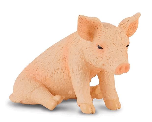 Piglet - Sitting