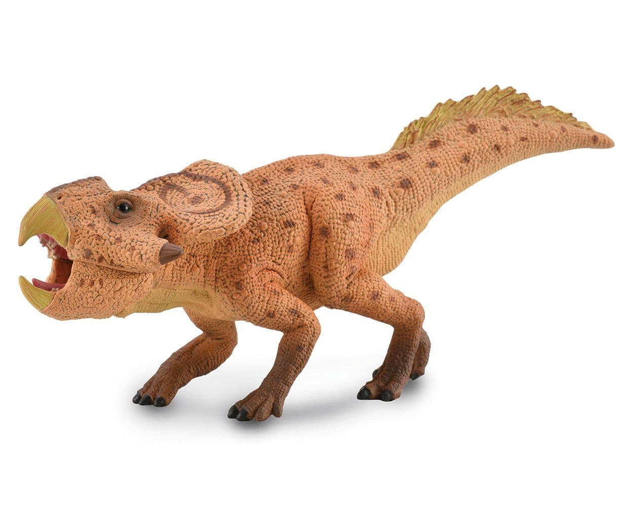 Protoceratops with Movable Jaw - Image 2