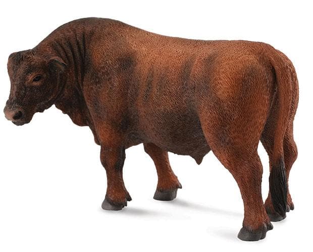 Red Angus Bull