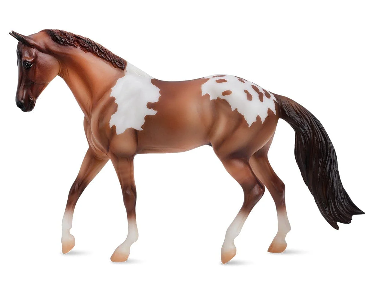 Red Dun Pintaloosa - Image 3