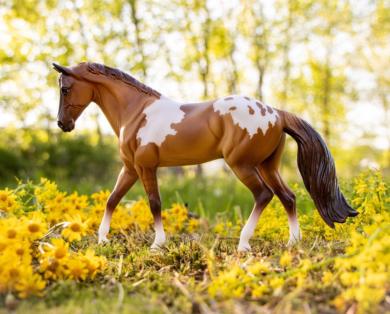 Red Dun Pintaloosa - Image 4