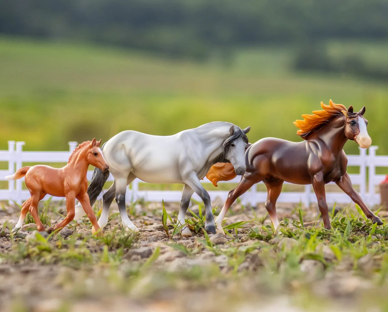 Sea Star and Playful Pony Family | Book & Horse Set - Image 3