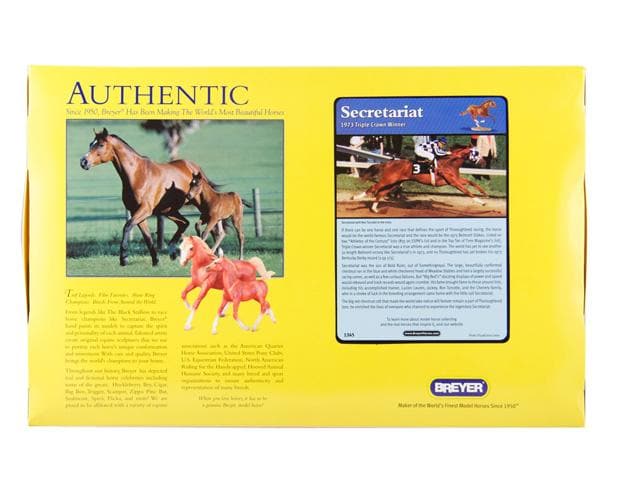 Secretariat - Image 10