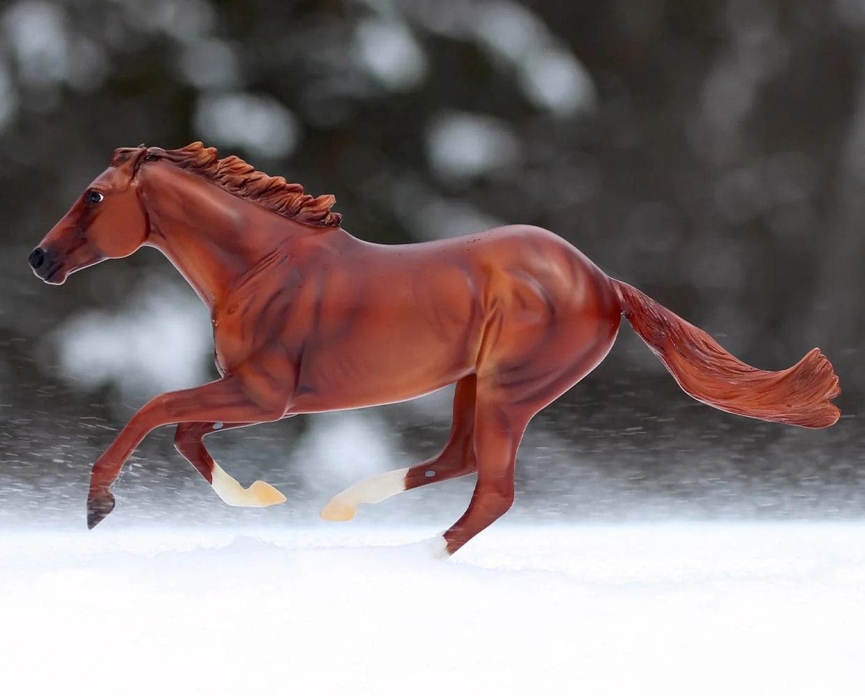 Secretariat - Image 3