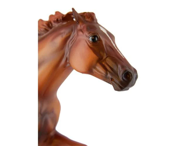 Secretariat - Image 6