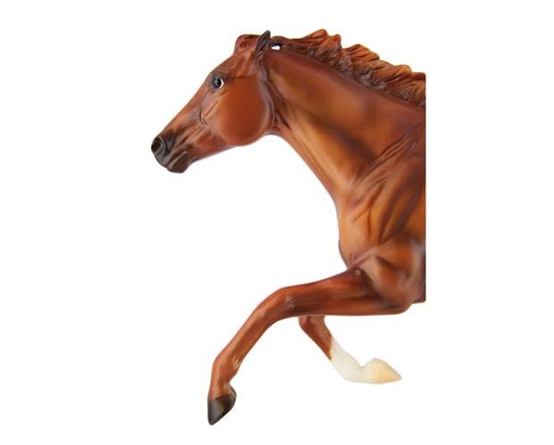 Secretariat - Image 8