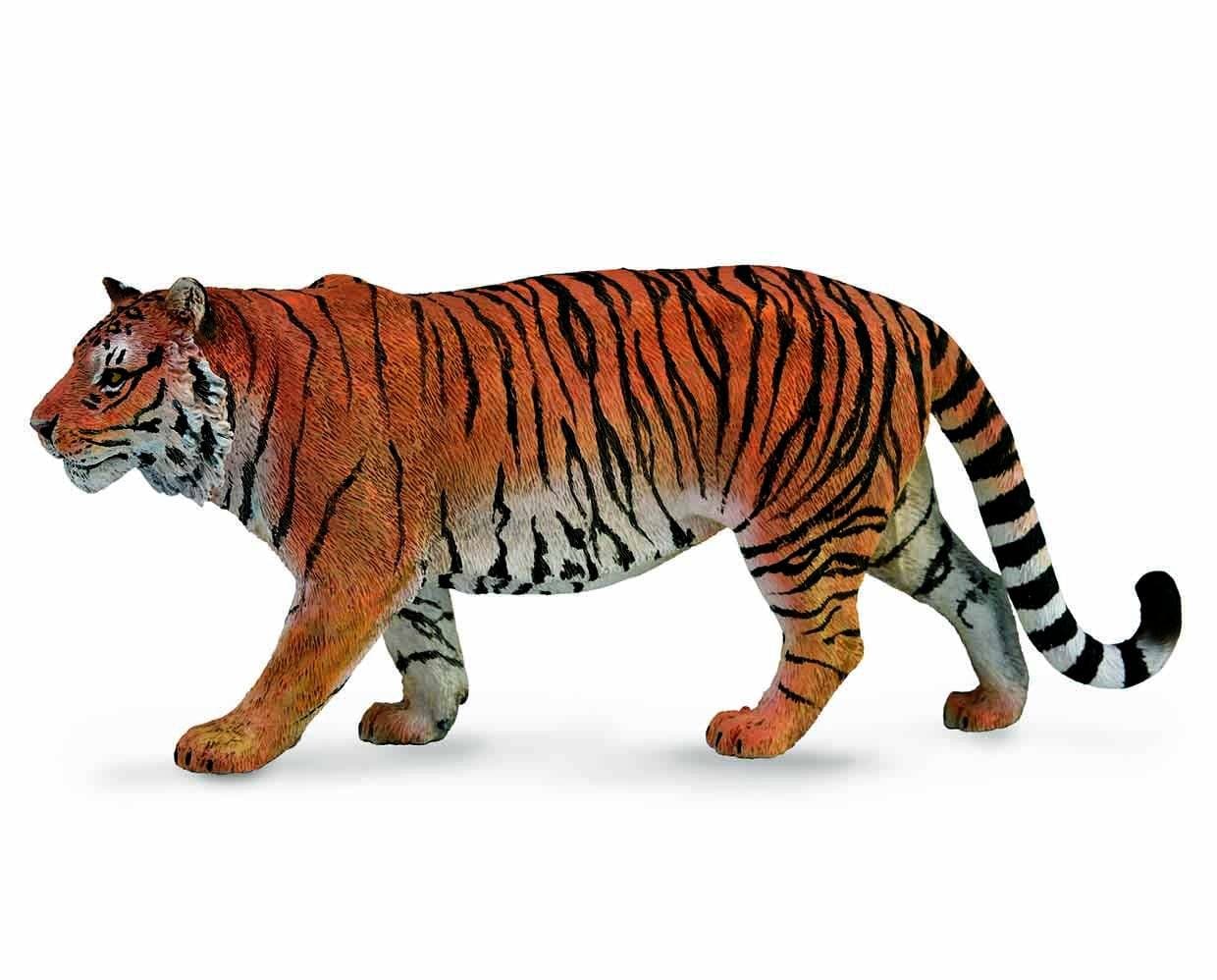 Siberian Tiger - Image 2