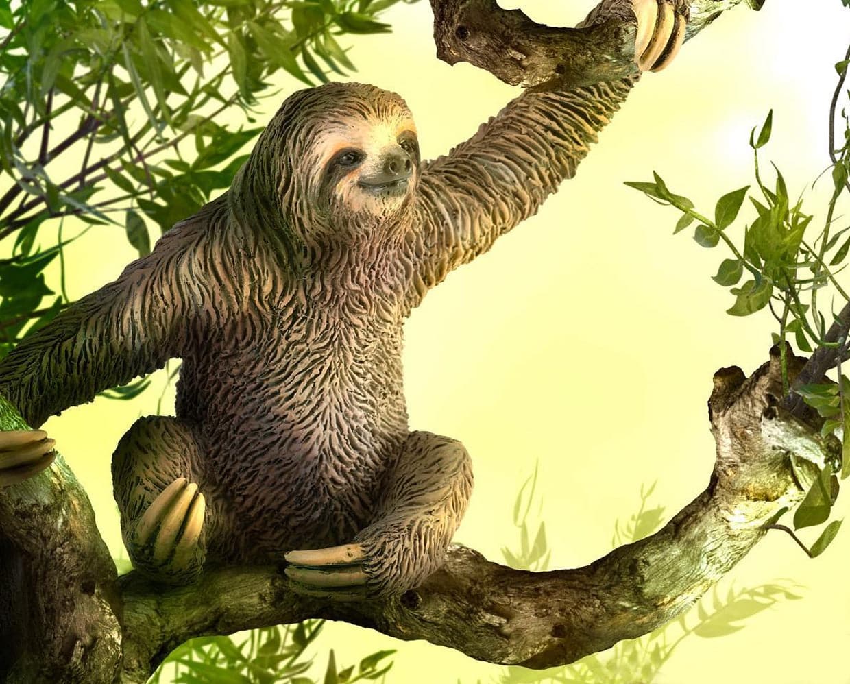 Sloth