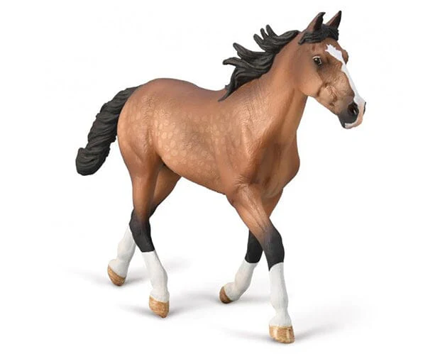 Standardbred Pacer Stallion | Bay