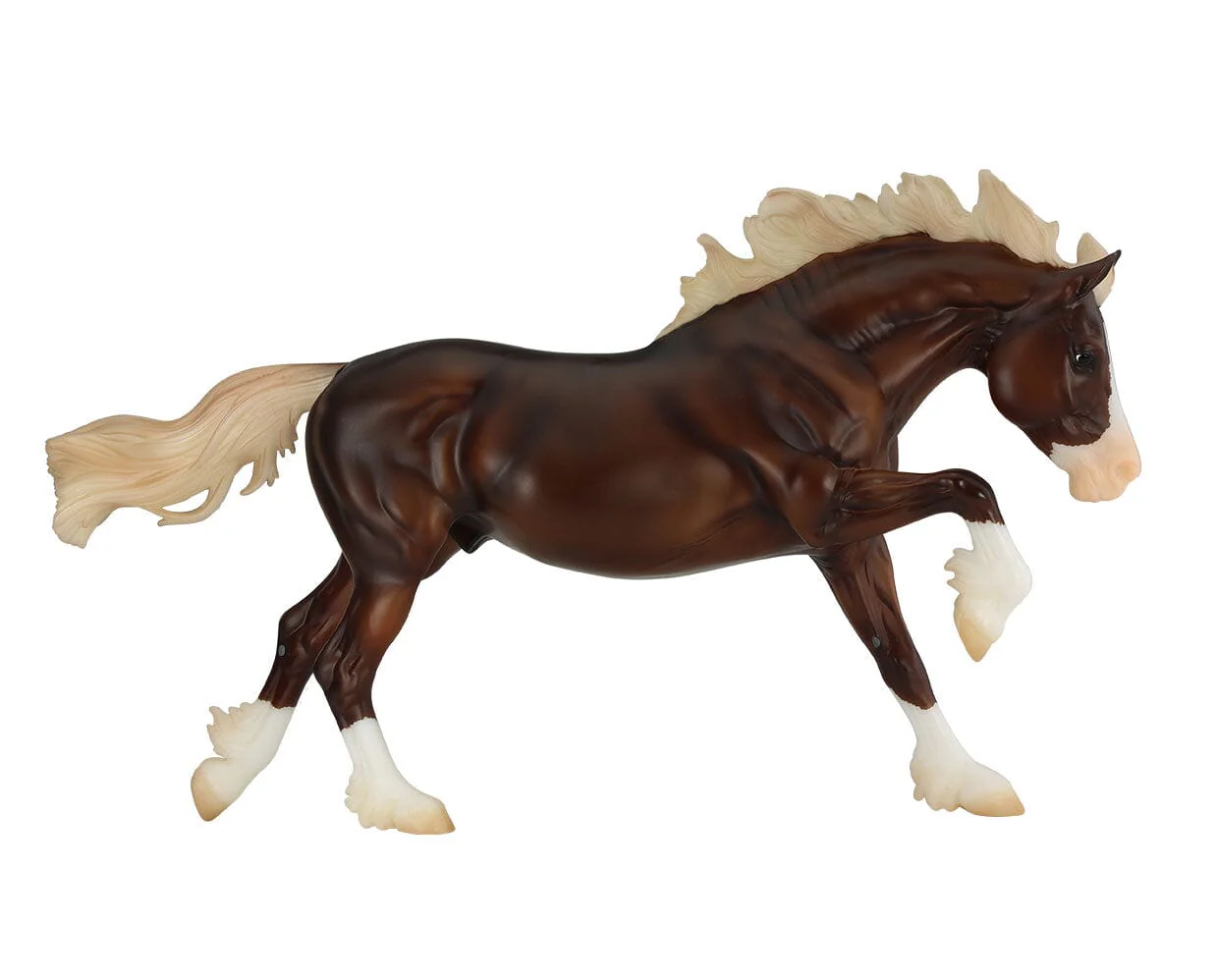 Surfer's Riptide | Chincoteague Pony