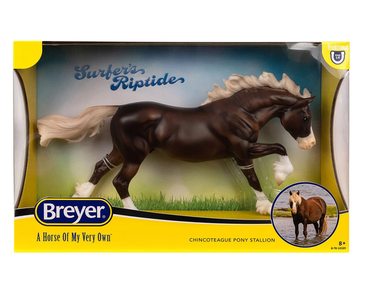 Surfer's Riptide | Chincoteague Pony - Image 6