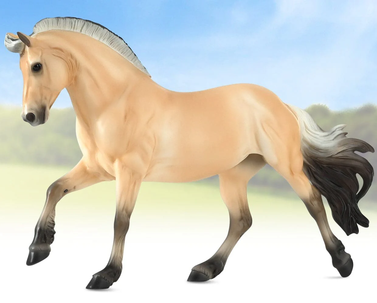 Sweetwater's Zorah Belle - Image 3