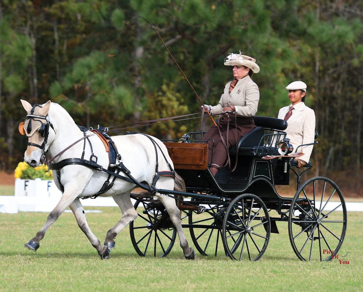 Sweetwater's Zorah Belle - Image 6