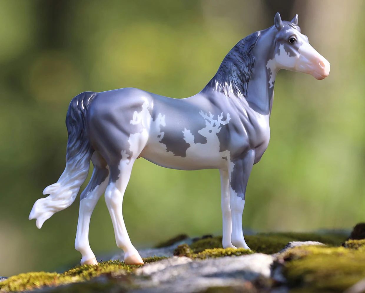 Sylvan | 2025 Freedom Series Winter Decorator