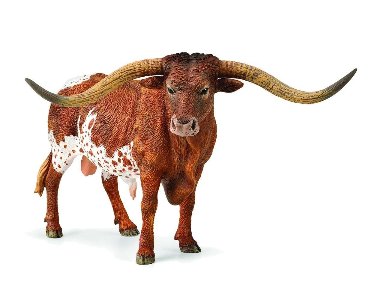 Texas Longhorn Bull - Image 2