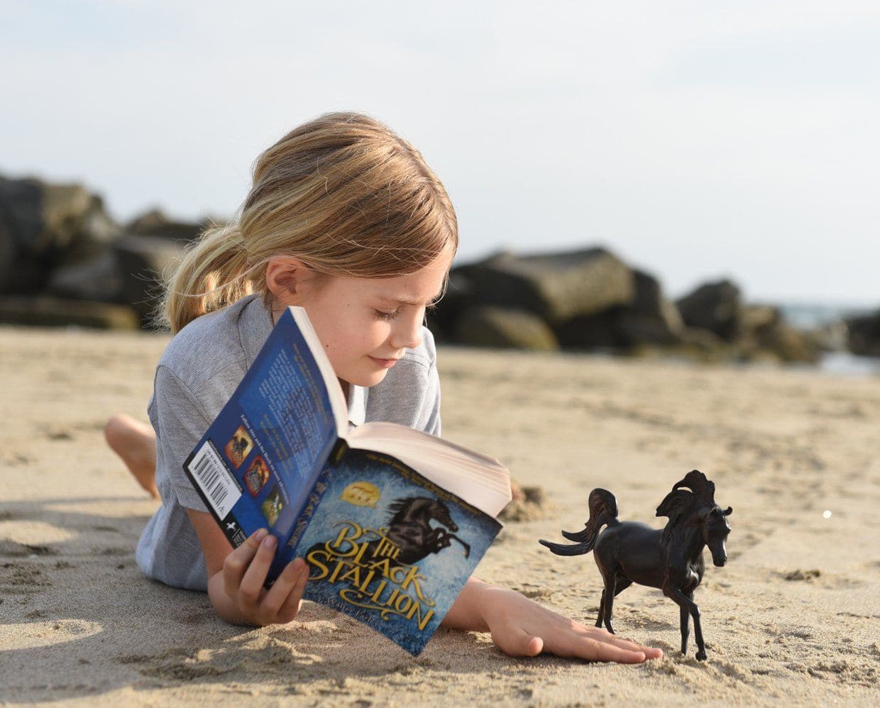 The Black Stallion Horse & Book Set - Image 3