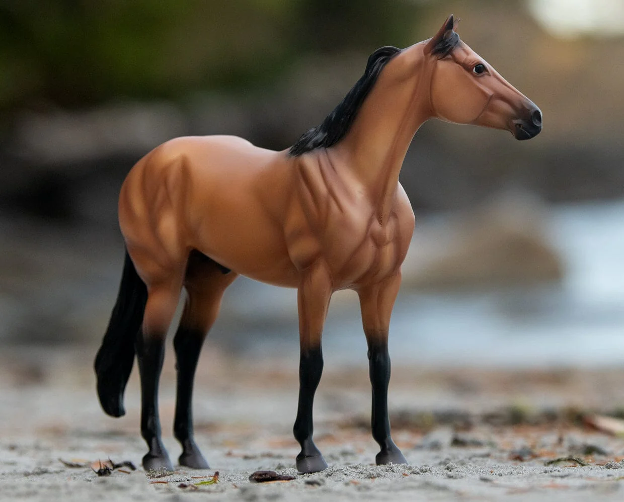 The Ideal Series | Buckskin - Image 2