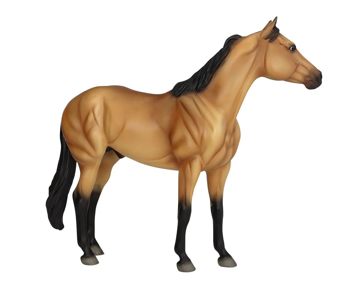 The Ideal Series | Buckskin - Image 4