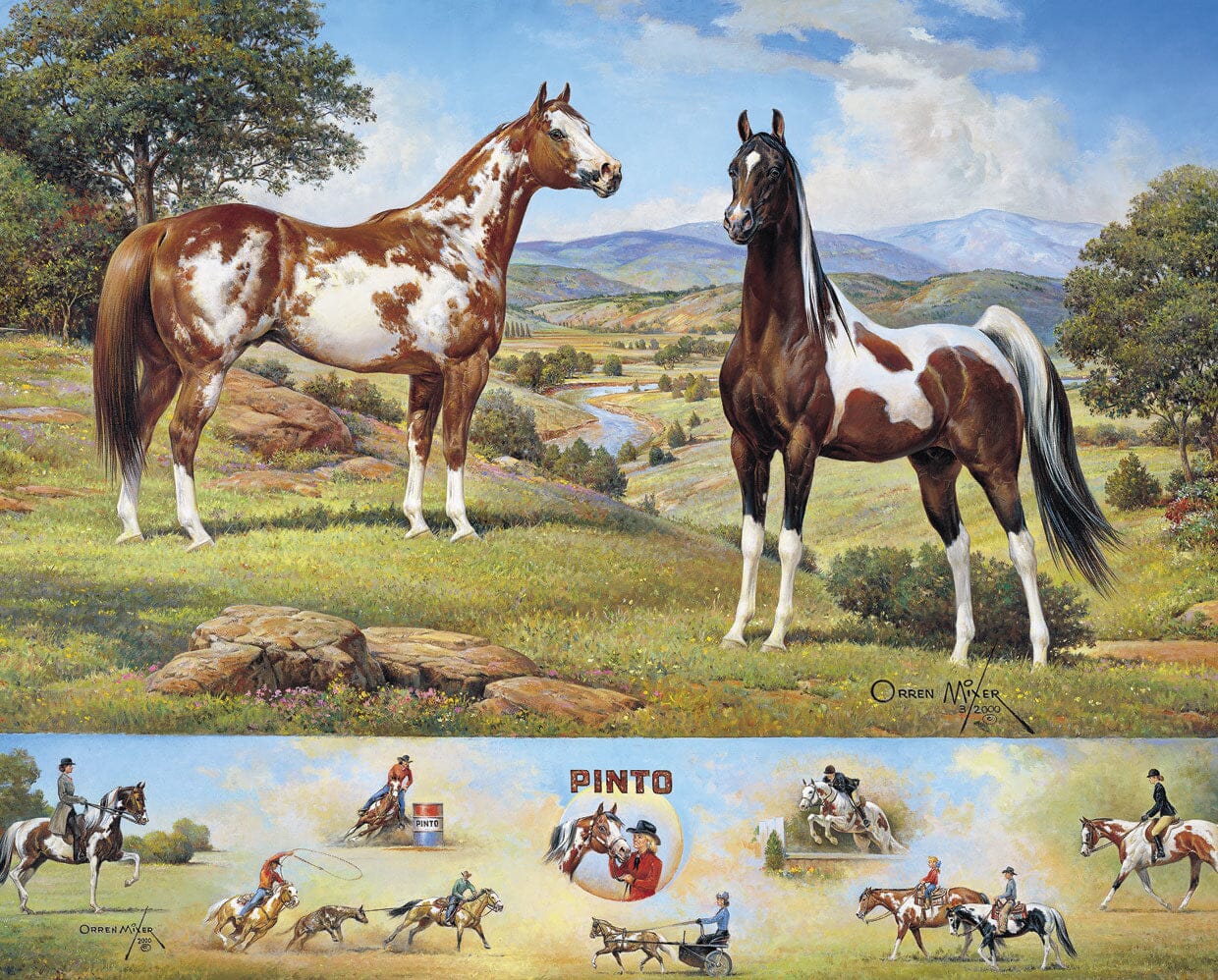 The Ideal Series | Pinto - Image 6