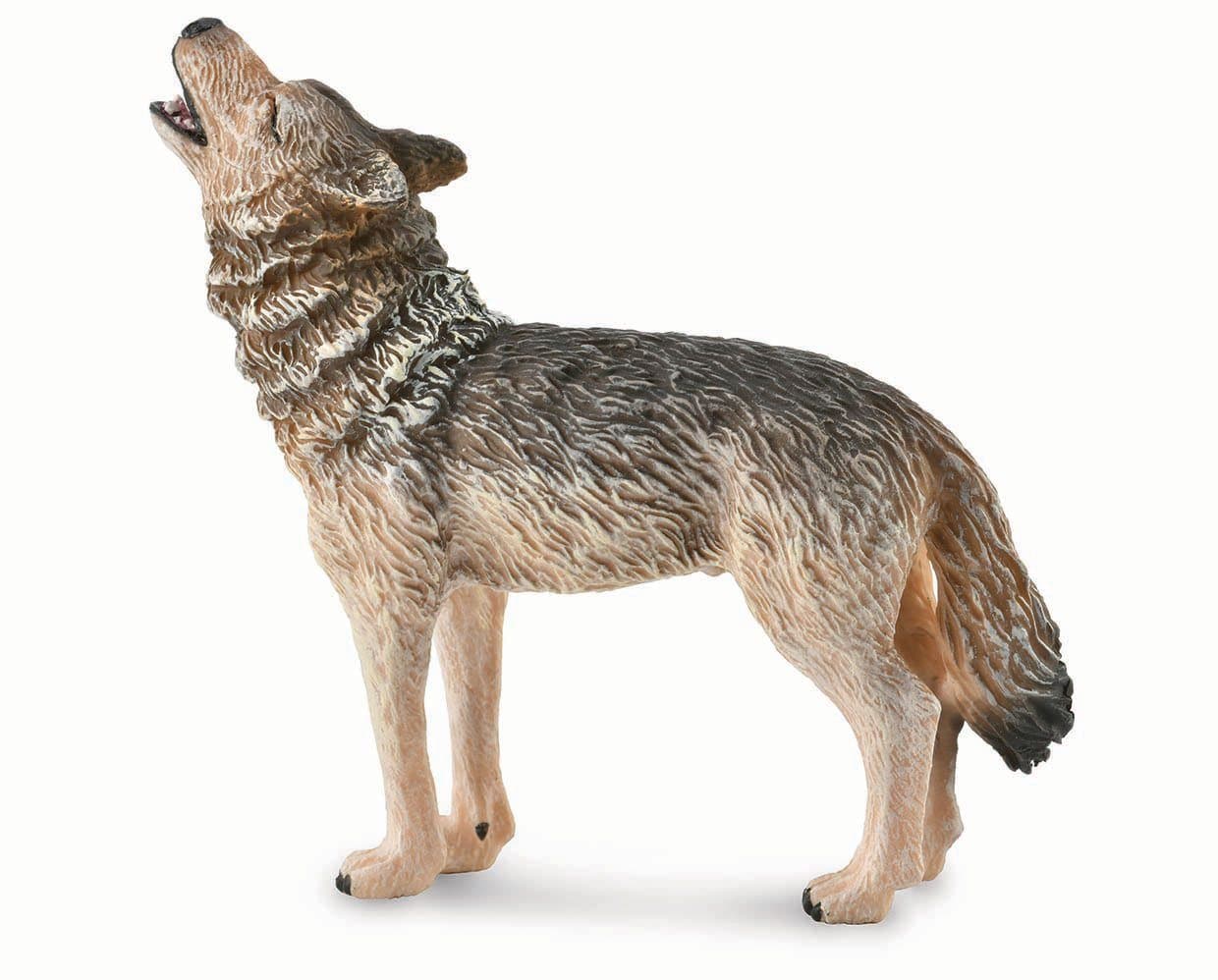 Timber Wolf Howling - Image 2