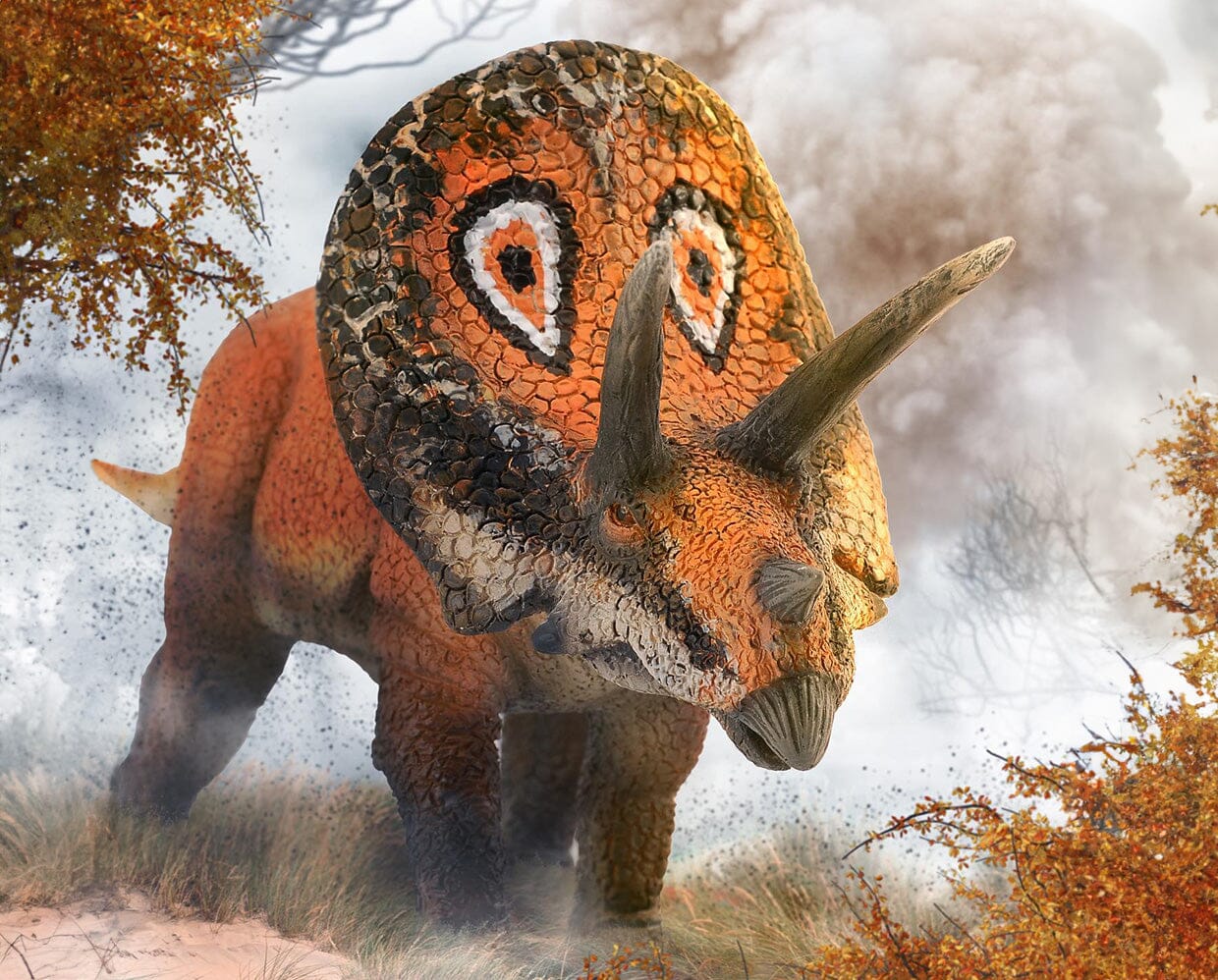Torosaurus