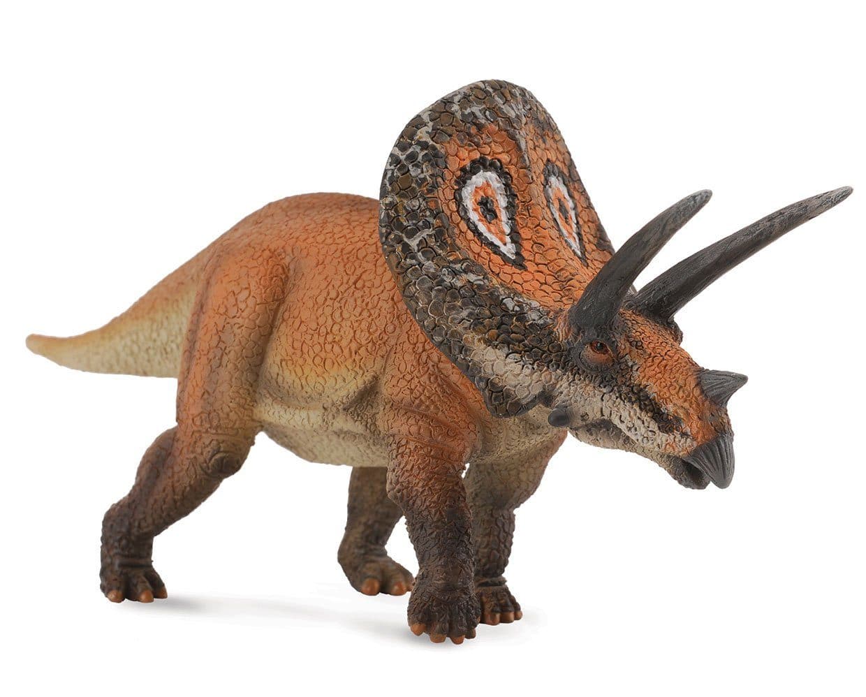 Torosaurus - Image 2