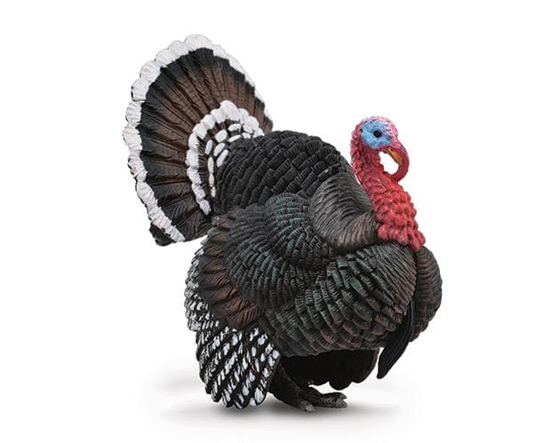 Turkey - Image 2