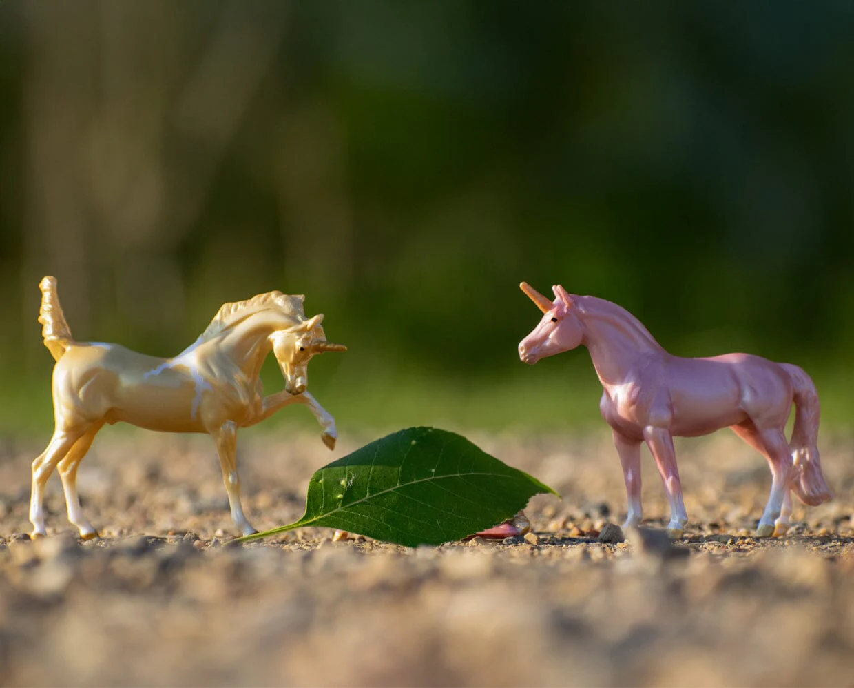 Unicorn Foal Surprise | Sparkling Canyon Family - Image 3