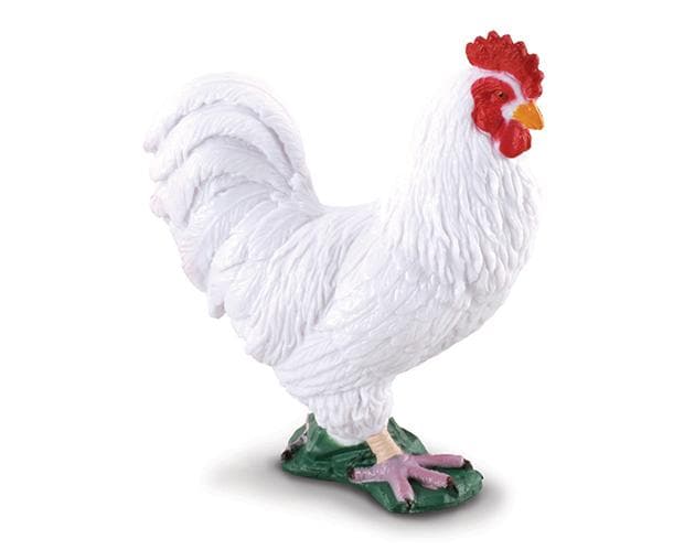 White Cockerel (Rooster)