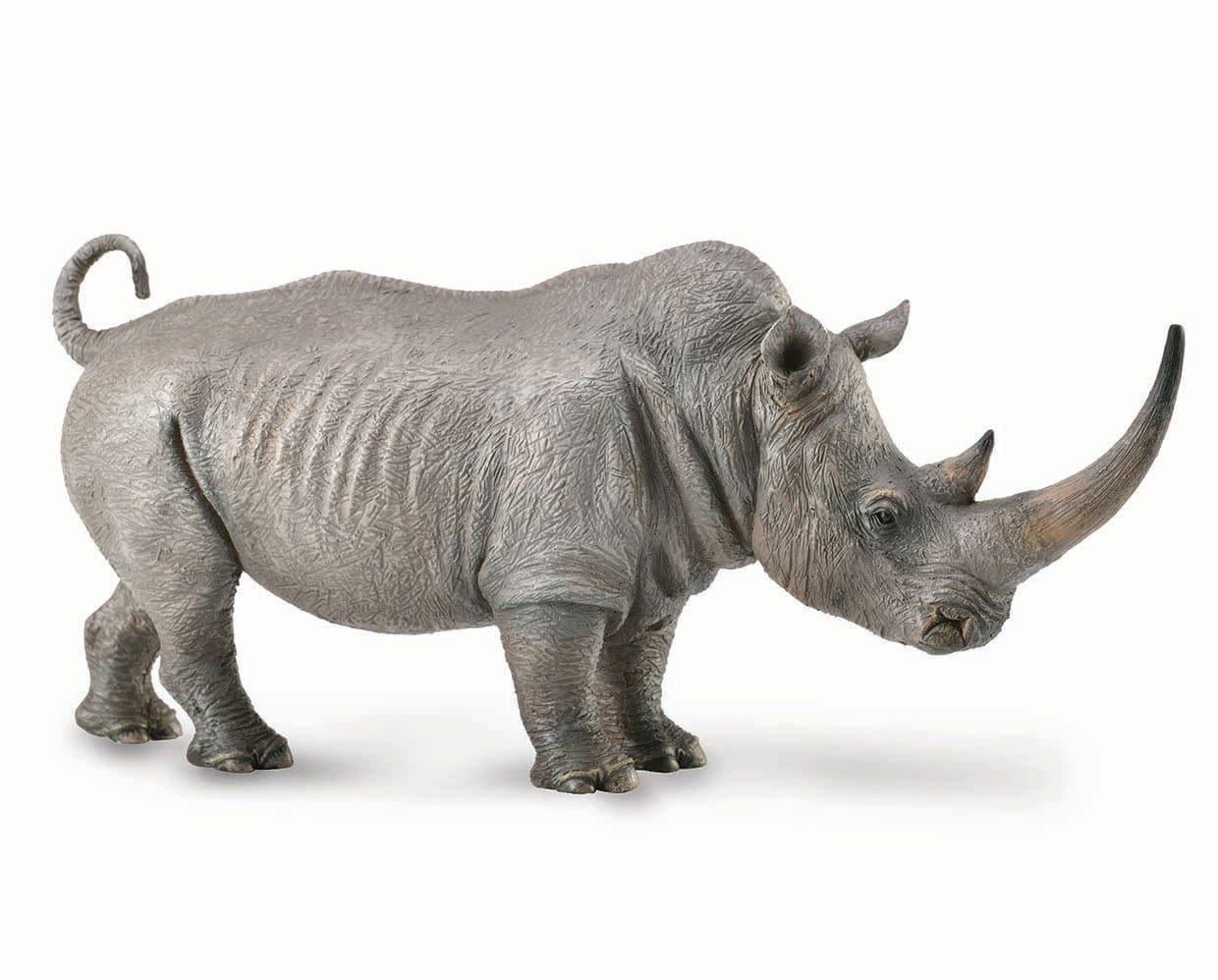 White Rhinoceros - Image 2