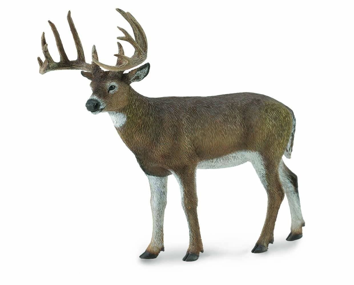 White-Tailed Deer - Image 2