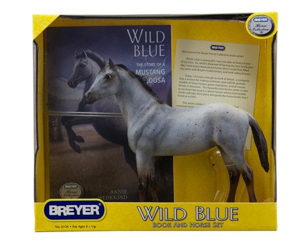 Wild Blue Book and Model Set - Image 3